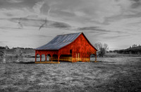 Selective Desaturation B