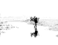 Beach Trip